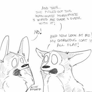 Meet your Posher, William